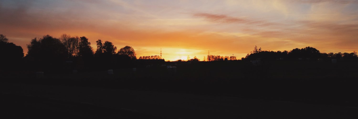 richardsdotter's profile banner image