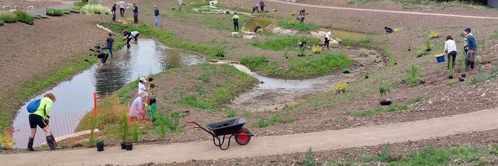Cllr Thomas Fawns banner