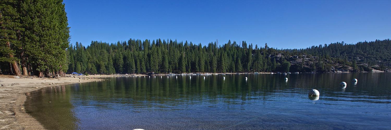 SueSLarson's profile banner image