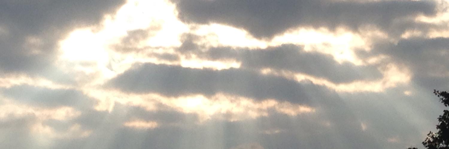 chernwy's profile banner image
