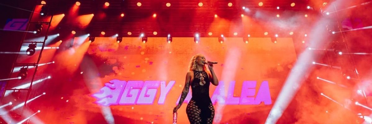 iggydetails's profile banner image