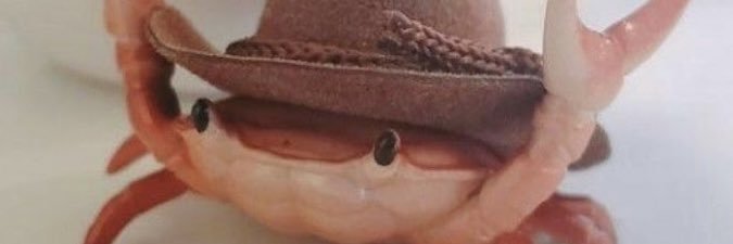 NormalPsychotic's profile banner image