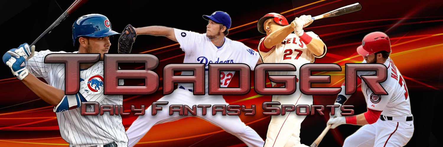 TBadger DFS banner