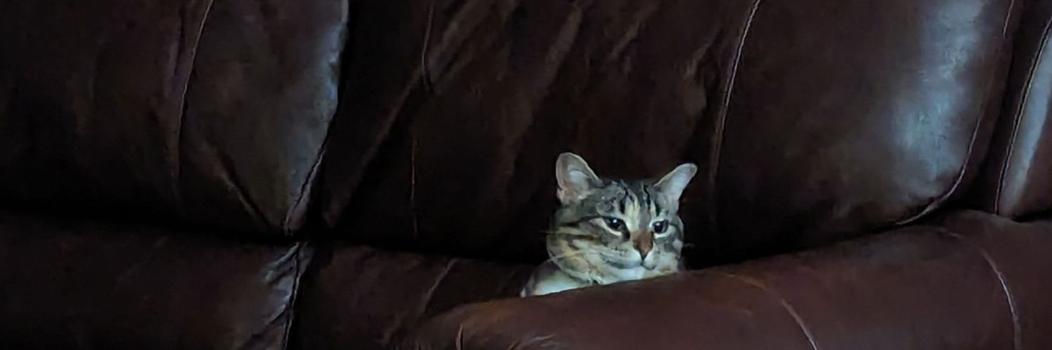 kathligation's profile banner image