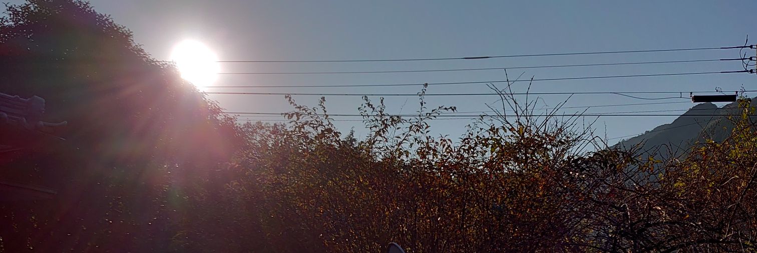 Rella_06's profile banner image
