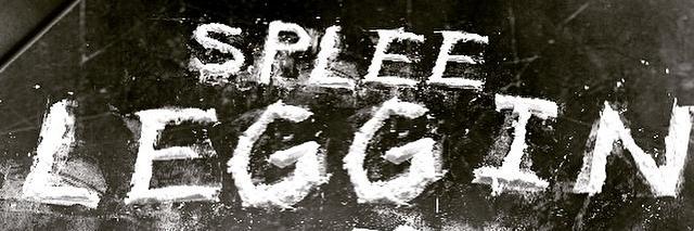 SpleeLegg's profile banner image
