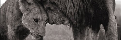 KayCee banner