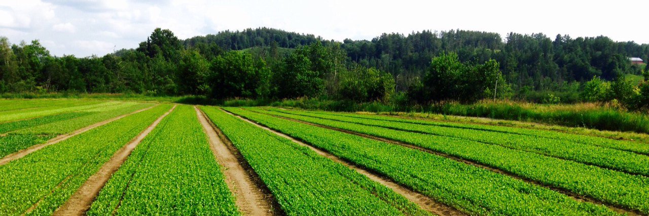 freshsourcecap's profile banner image