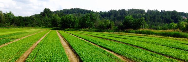 freshsourcecap Profile Banner