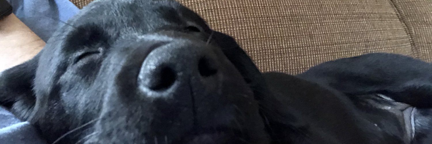 alandryy's profile banner image