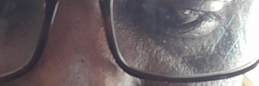 hashadube's profile banner image