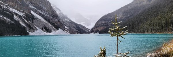 MattAndersonUT Profile Banner