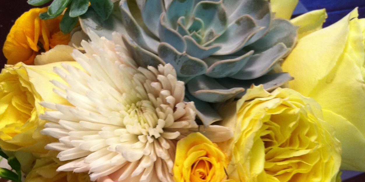 NatalieEPD's profile banner image