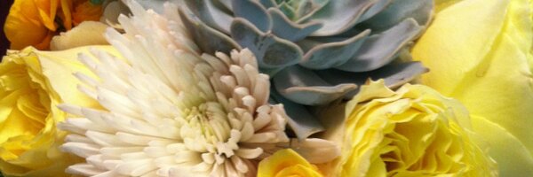NatalieEPD Profile Banner