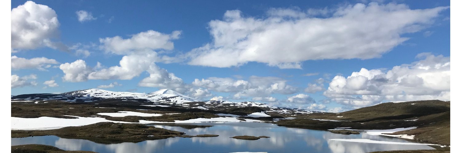 sstjern's profile banner image