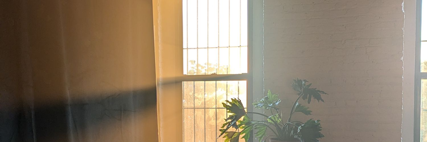 ziggfield.bsky.social banner