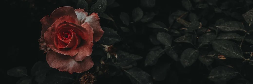 njhstrong's profile banner image