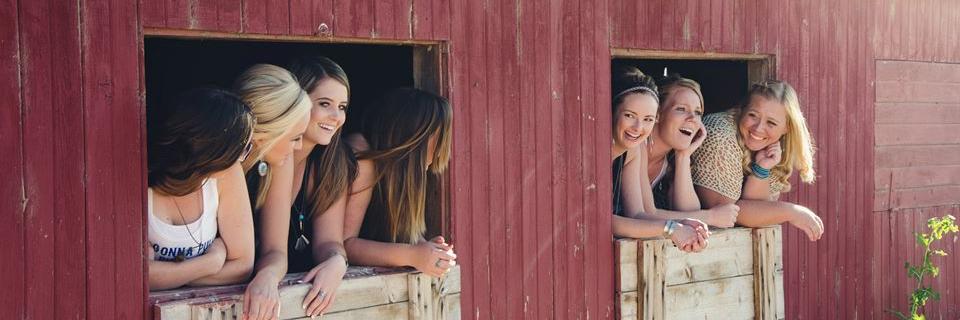 CheekysChicks's profile banner image
