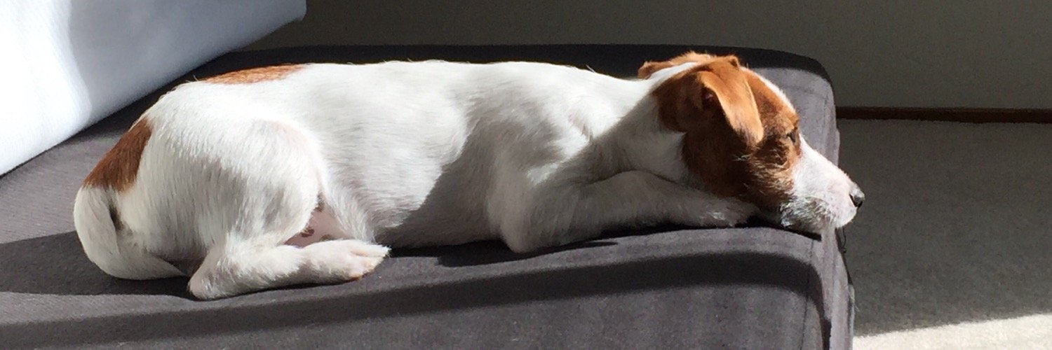 Bodie JRT banner