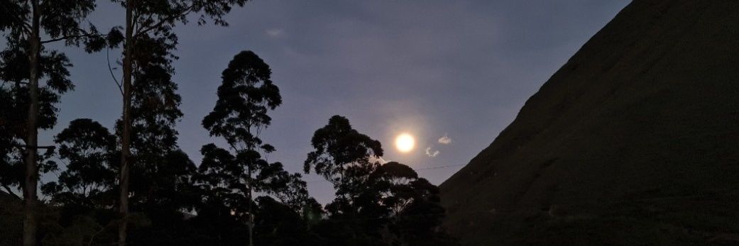 Maemoritav's profile banner image