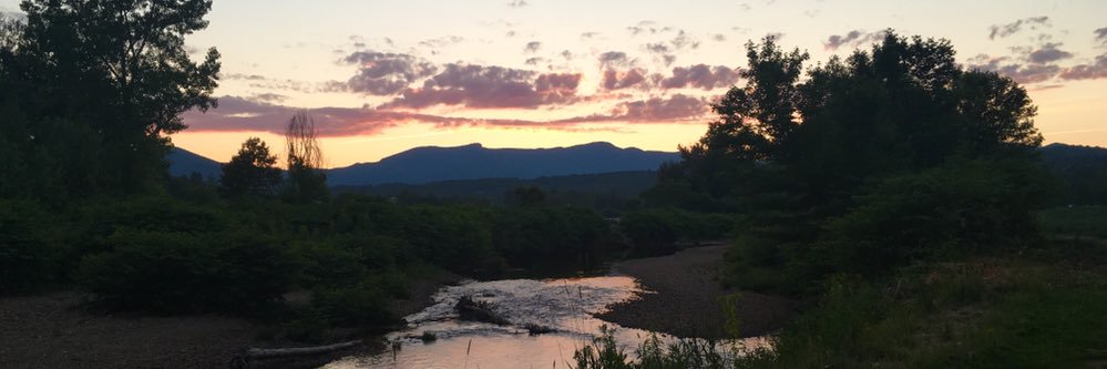 Danielle Shoda 🎗️💛✨ banner