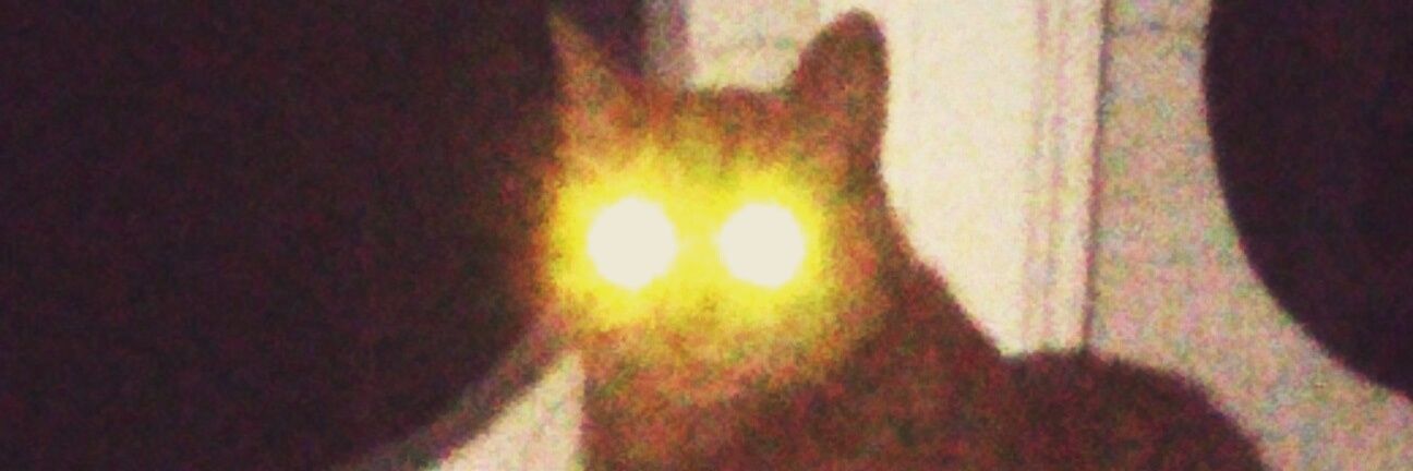 Mupparooni's profile banner image