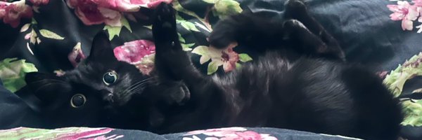 RowenaCobb Profile Banner