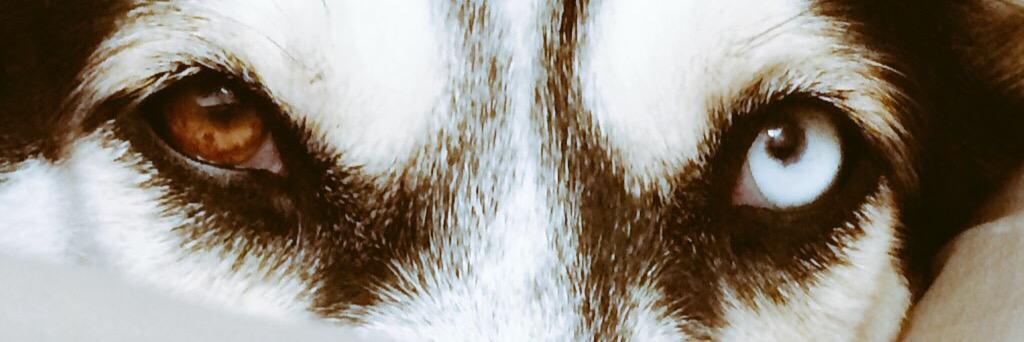 cynmac1979's profile banner image