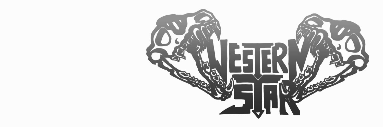 WesternStarBand's profile banner image