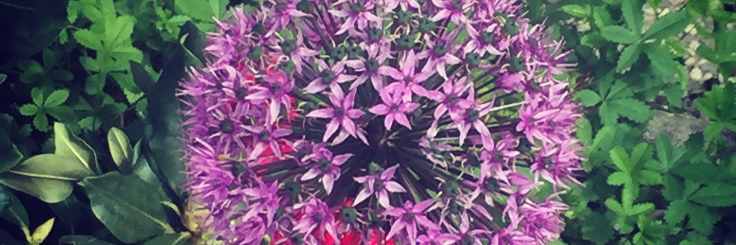 moguuji's profile banner image