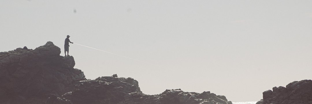 Brenda_vaa's profile banner image