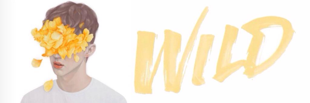 WildestTroye's profile banner image
