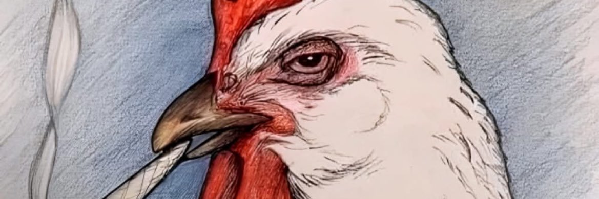 MarcoAzua1's profile banner image