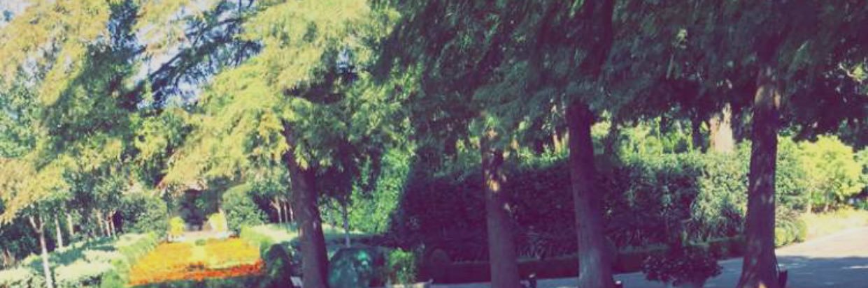 bellnsell's profile banner image