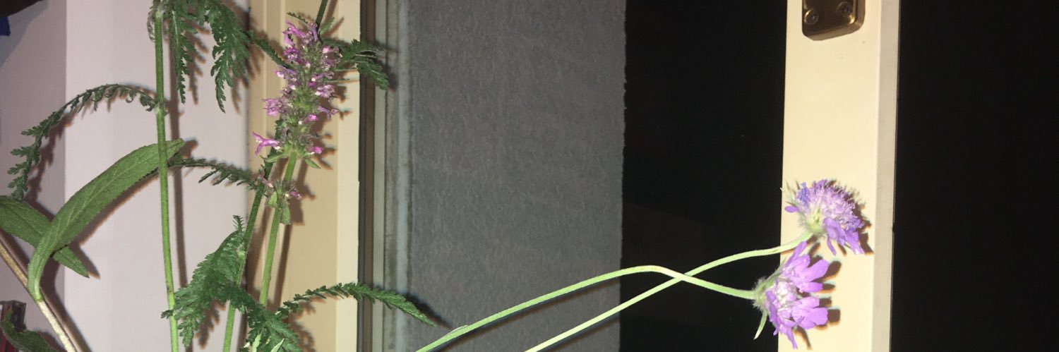 ainh000a's profile banner image