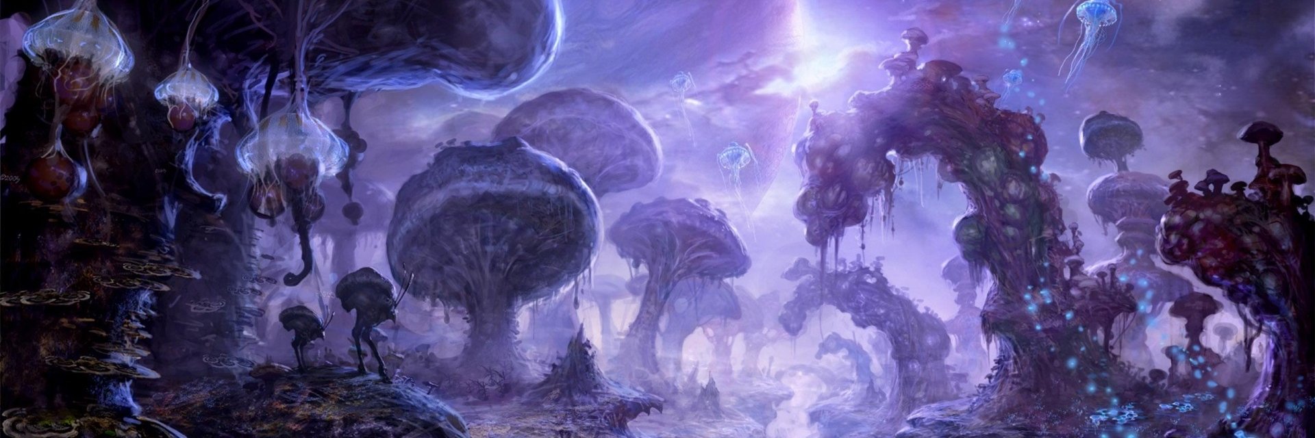 _Wikea_'s profile banner image