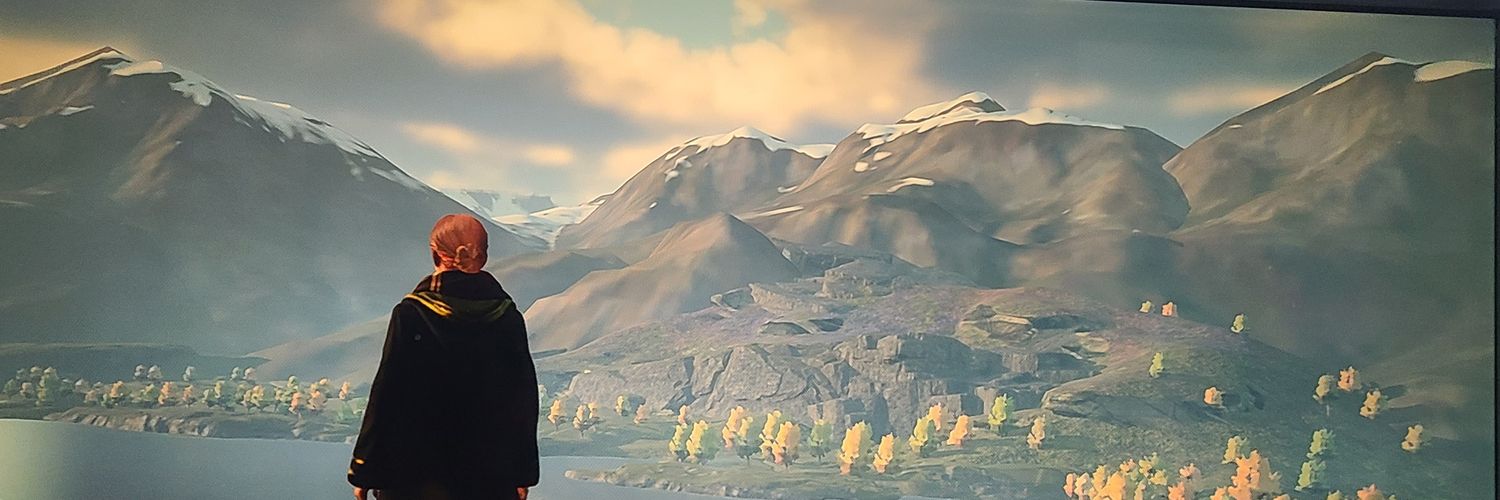 viva_35's profile banner image