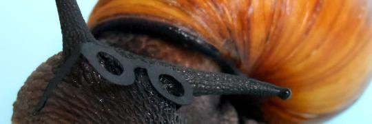 SlugsAndKisses's profile banner image