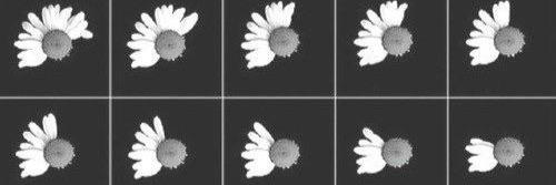 fading_goodbye's profile banner image
