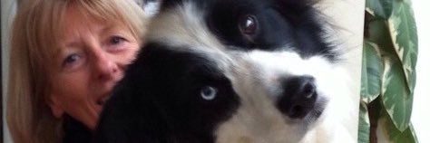 dibrittan's profile banner image