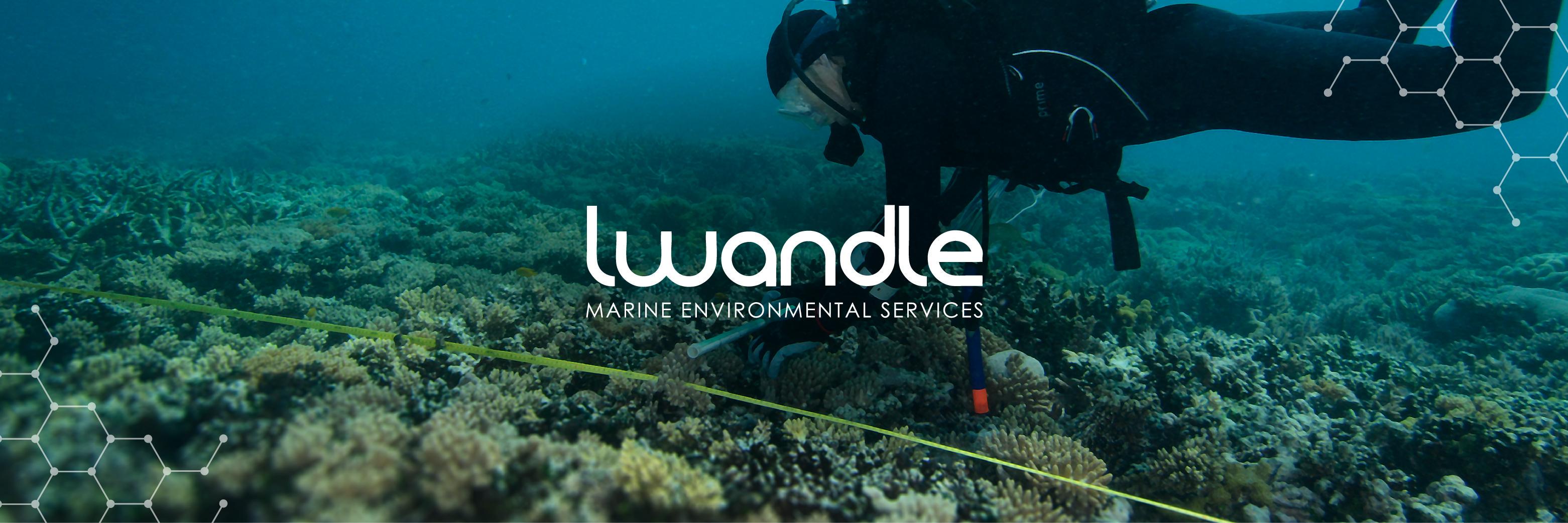 LwandleTech's profile banner image