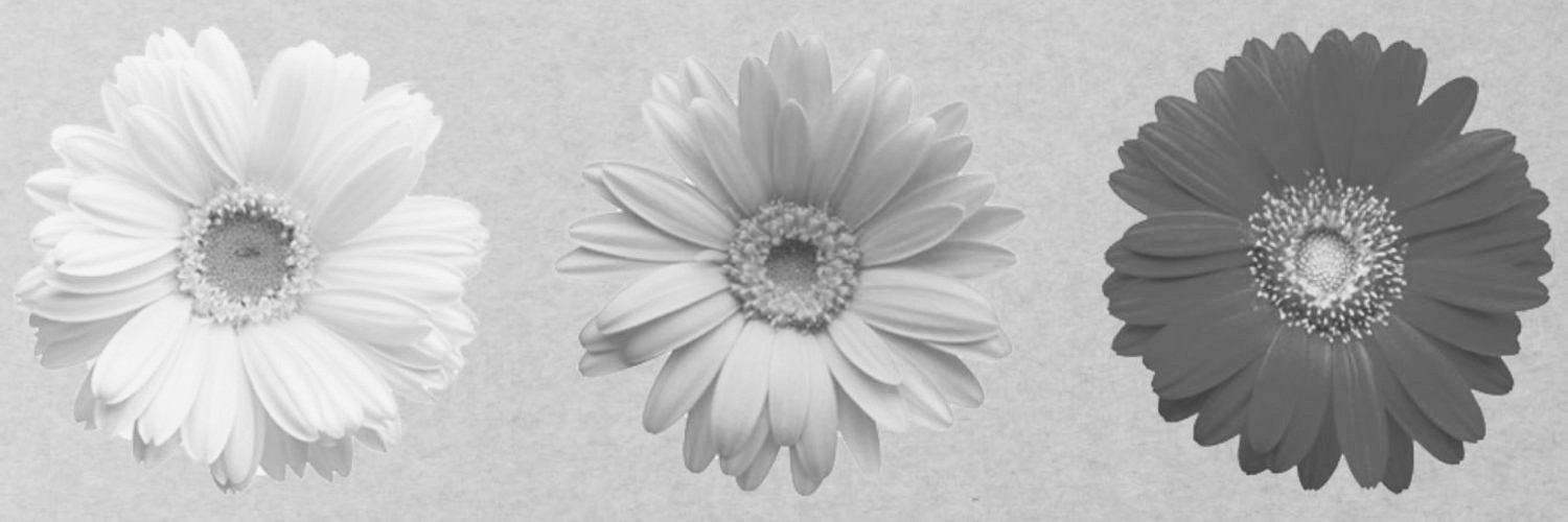 FreeBeYouMe's profile banner image
