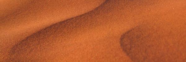 thecarott Profile Banner