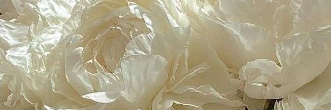buj banner