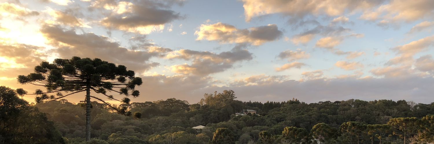 ePUPPI's profile banner image