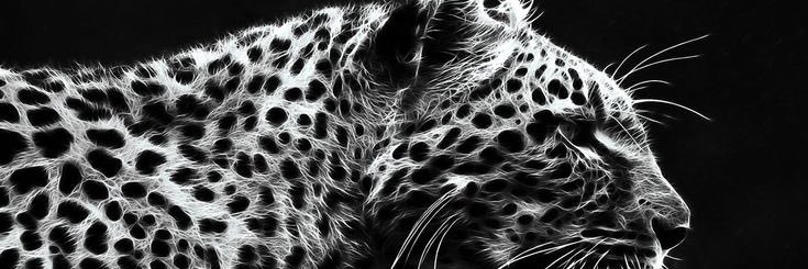 9_mohammed__'s profile banner image