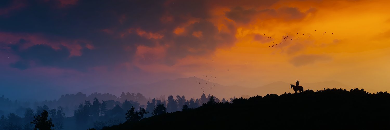 mtspinus's profile banner image