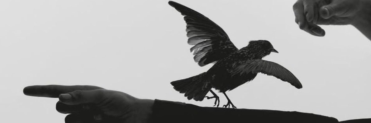 WeekendFly's profile banner image