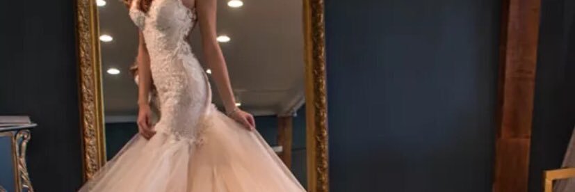 TeamDianteBrook's profile banner image