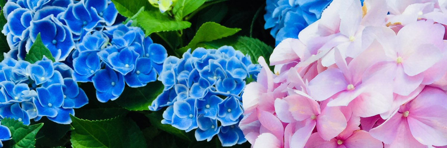 u_raichi's profile banner image